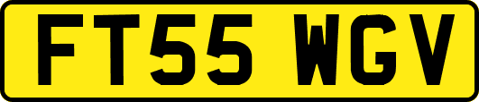 FT55WGV