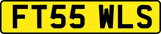 FT55WLS
