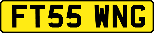 FT55WNG