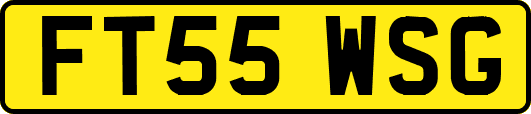 FT55WSG