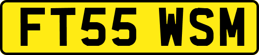 FT55WSM