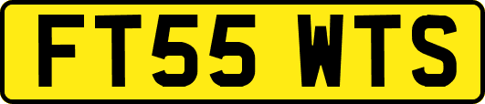 FT55WTS