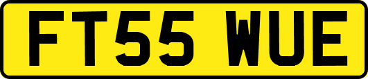 FT55WUE