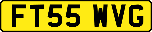 FT55WVG