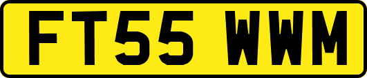 FT55WWM