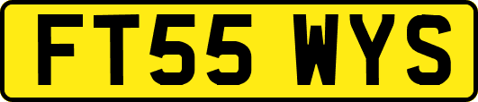 FT55WYS