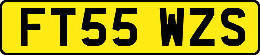 FT55WZS