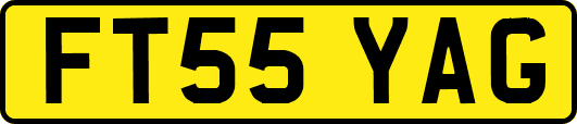 FT55YAG