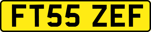FT55ZEF