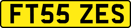 FT55ZES