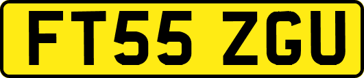 FT55ZGU