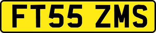 FT55ZMS