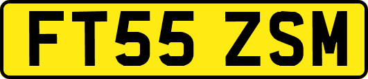 FT55ZSM