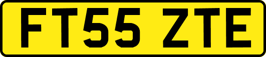 FT55ZTE