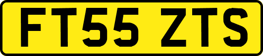 FT55ZTS