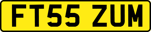 FT55ZUM