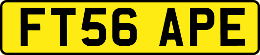 FT56APE