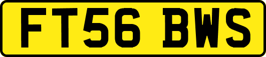 FT56BWS