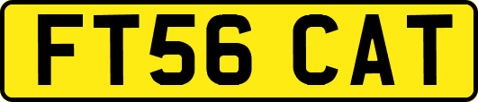FT56CAT
