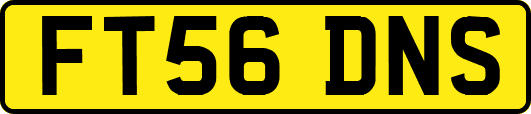 FT56DNS
