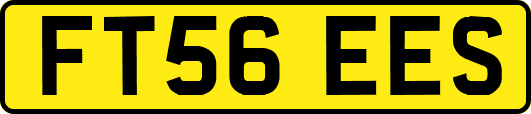 FT56EES