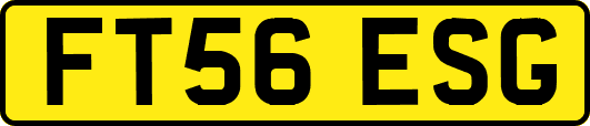 FT56ESG