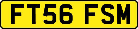 FT56FSM