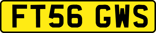 FT56GWS