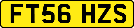 FT56HZS