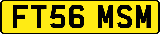 FT56MSM