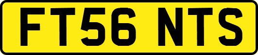 FT56NTS