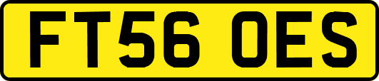 FT56OES