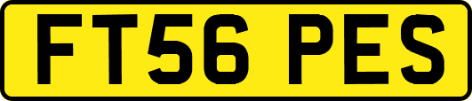 FT56PES