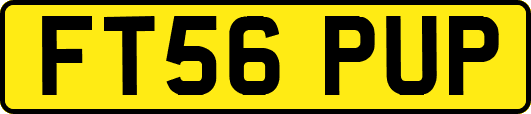FT56PUP