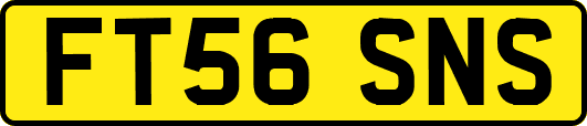 FT56SNS