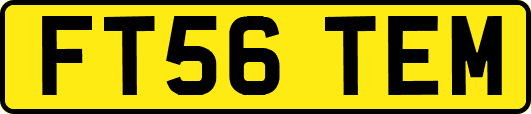 FT56TEM