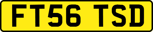 FT56TSD