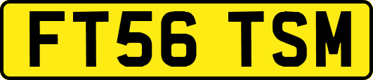 FT56TSM