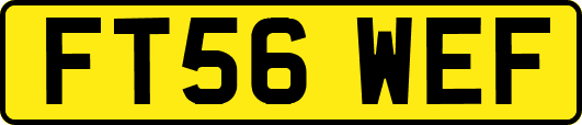 FT56WEF