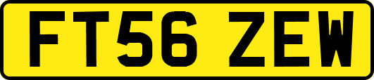 FT56ZEW