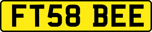 FT58BEE