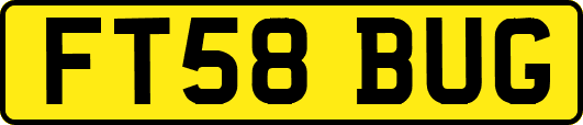 FT58BUG