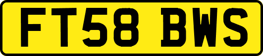 FT58BWS