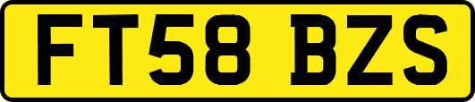 FT58BZS