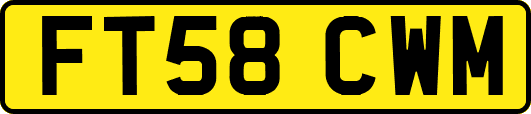FT58CWM