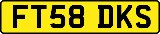 FT58DKS