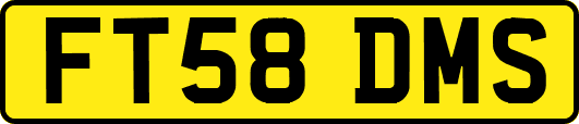 FT58DMS