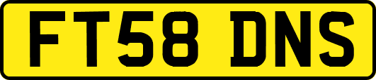 FT58DNS