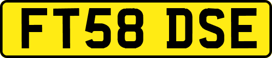 FT58DSE