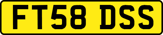 FT58DSS